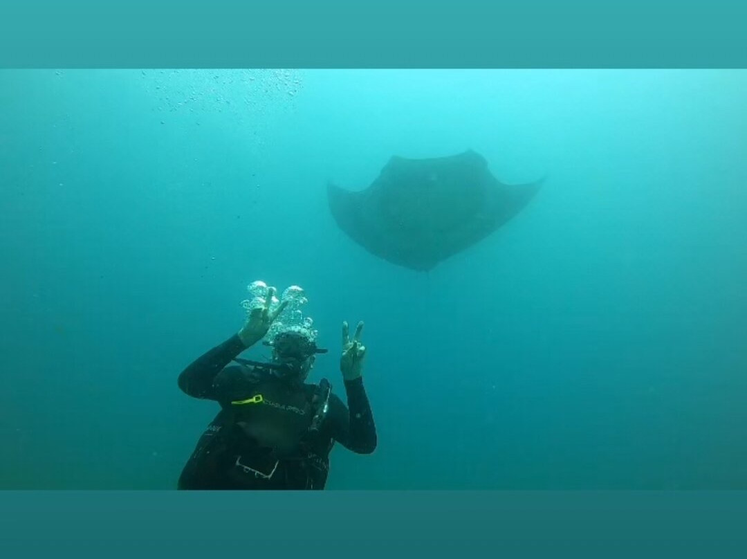 Exploramar Diving景点图片