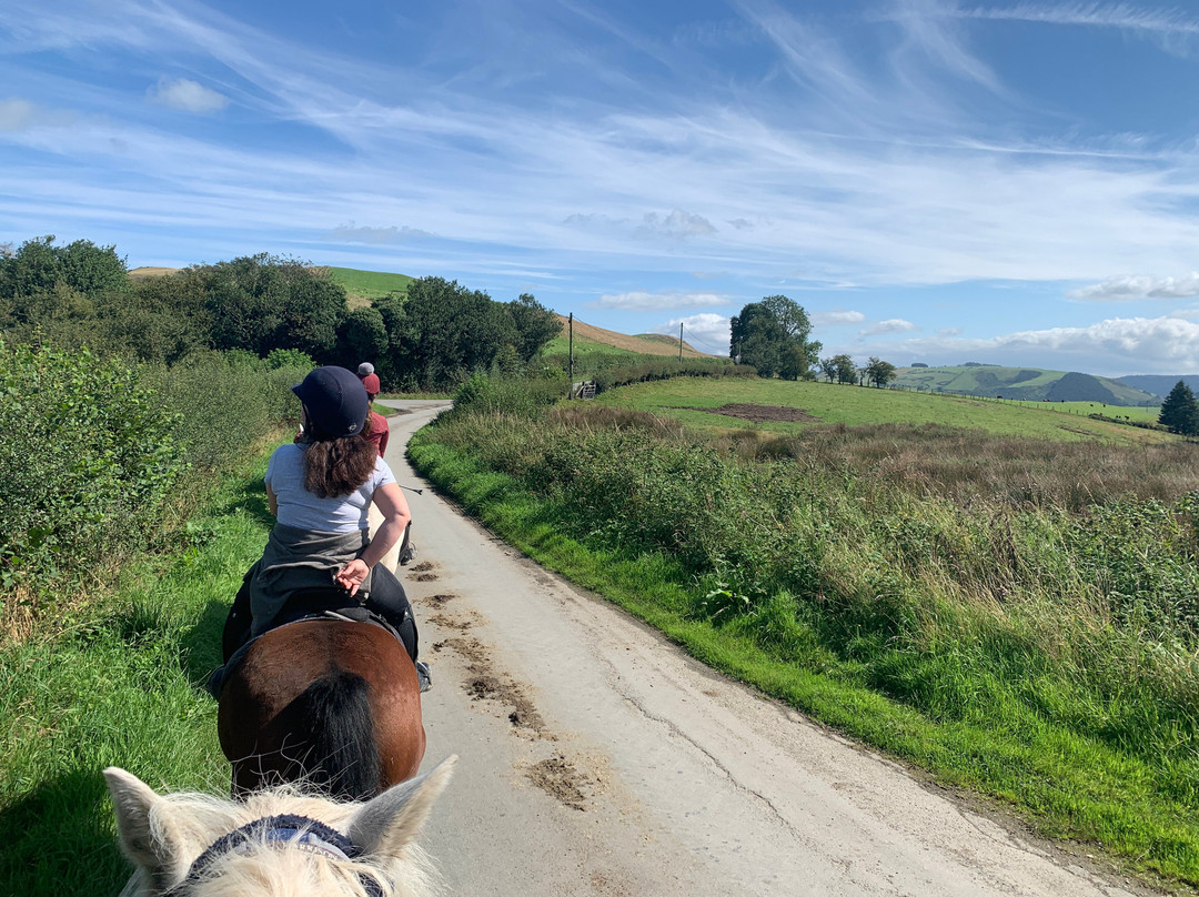 Springhill Farm Riding Stables景点图片