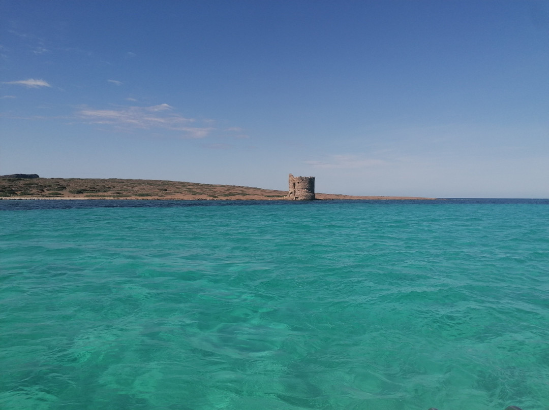 Asinara Catamaran Charter-撒丁岛必去景点