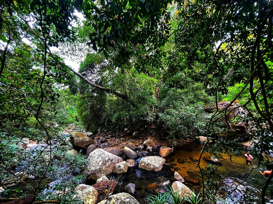 The Forest Escape by Galarawa Lodge主图