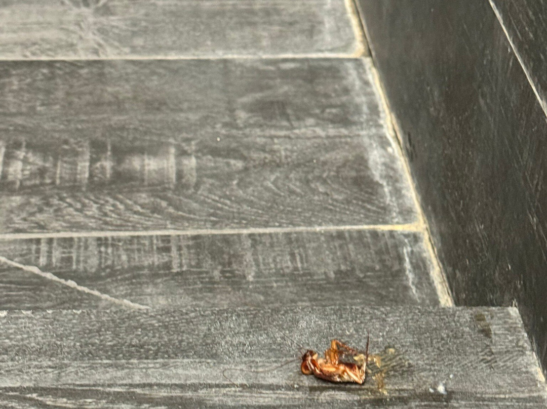 Morra's Home B&B主图