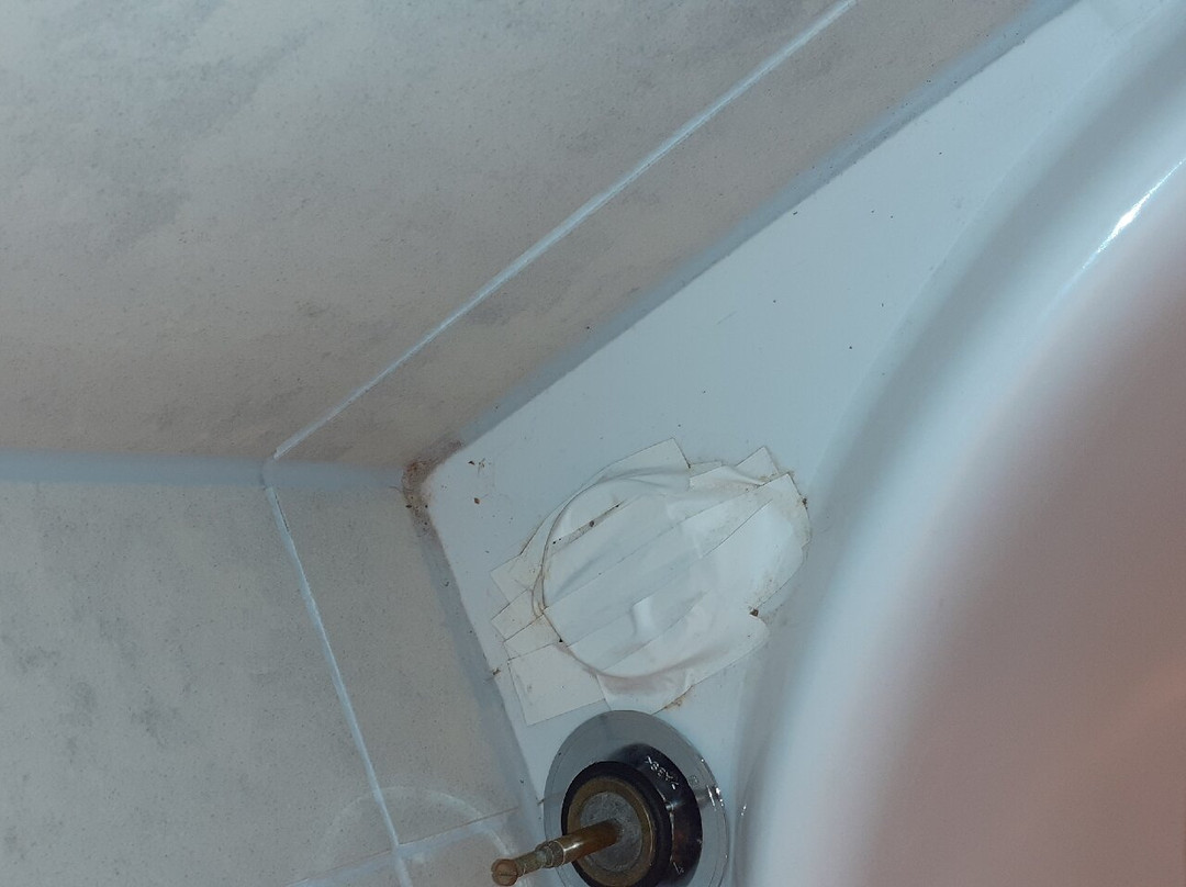 Inselklause Schwarzwald主图