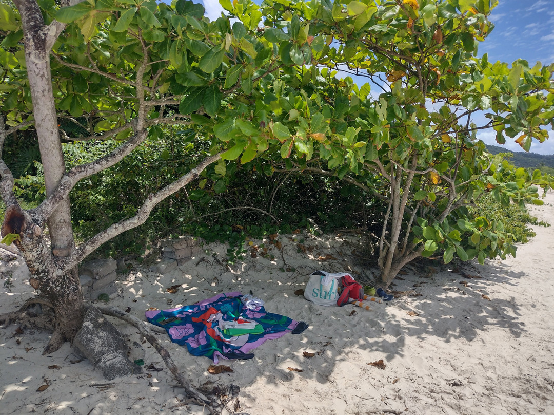 Defunto e das Bananeiras Beach景点图片