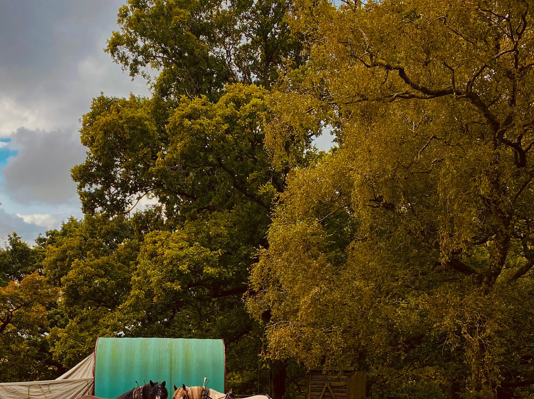Wanderlusts Gypsy Caravans景点图片