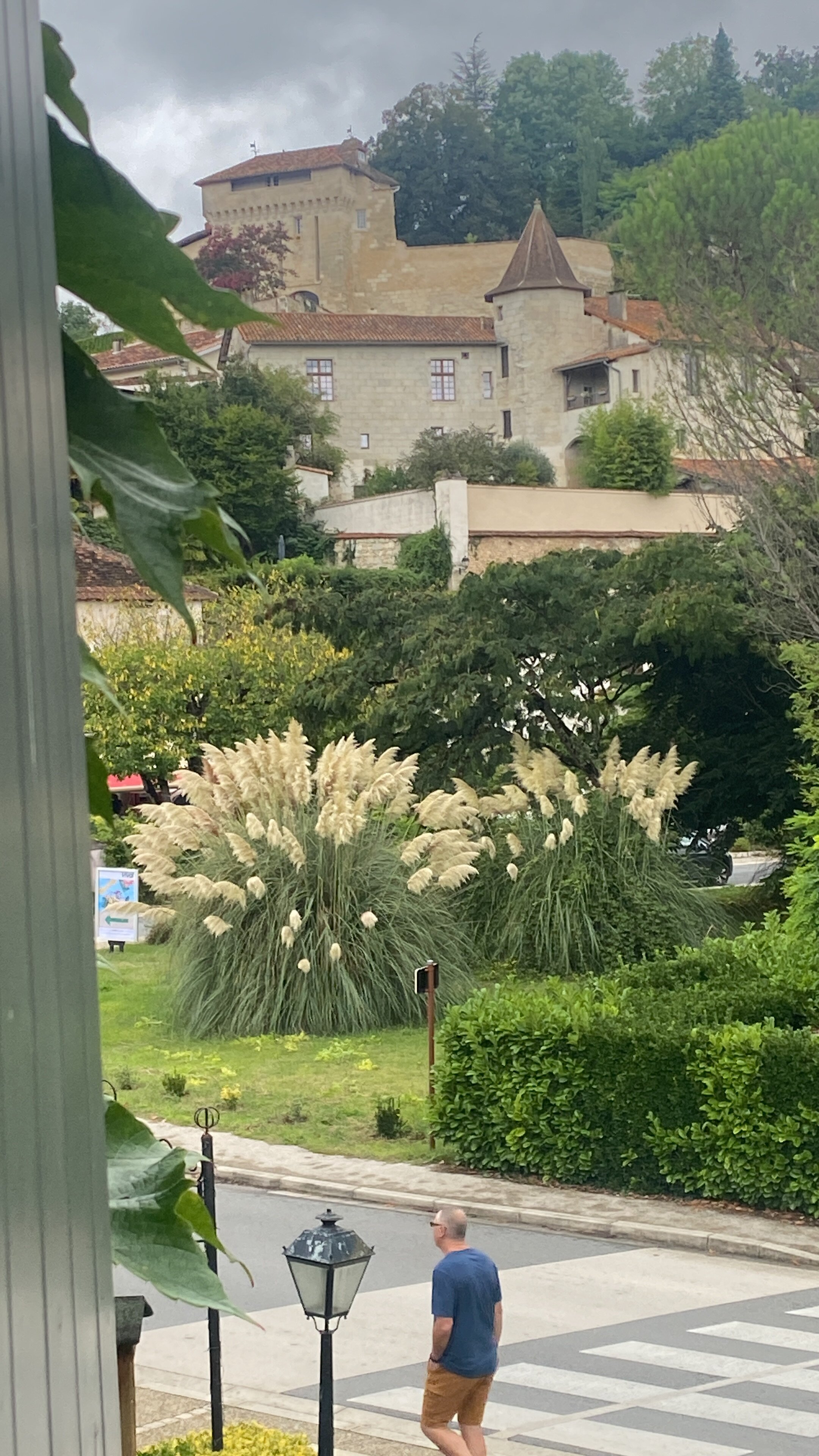 Hostellerie du Perigord-酒店景观
