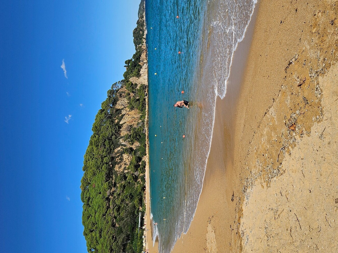 Playa de Santa Cristina景点图片
