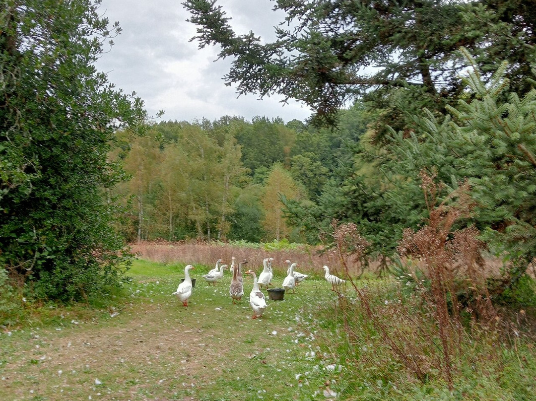 Jardin de Val Maubrune景点图片