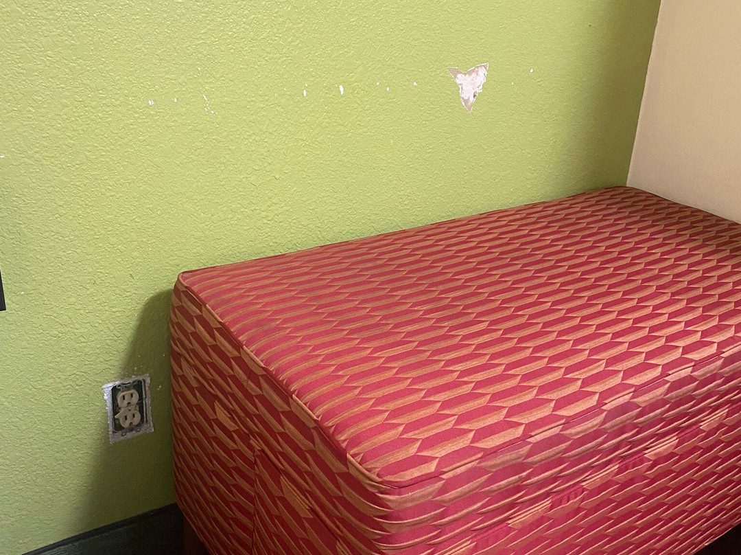 Super 8 by Wyndham Arkansas City KS主图