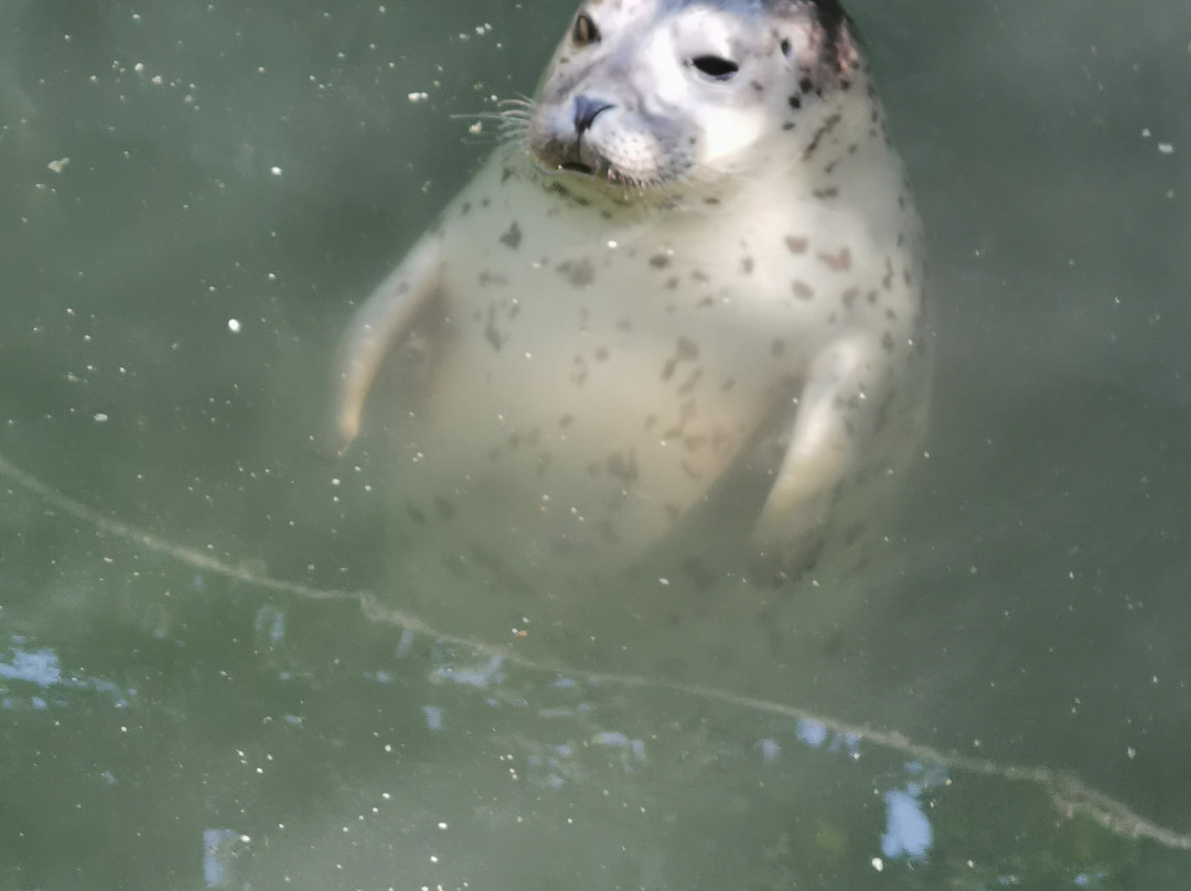 Tierpark Neumünster景点图片