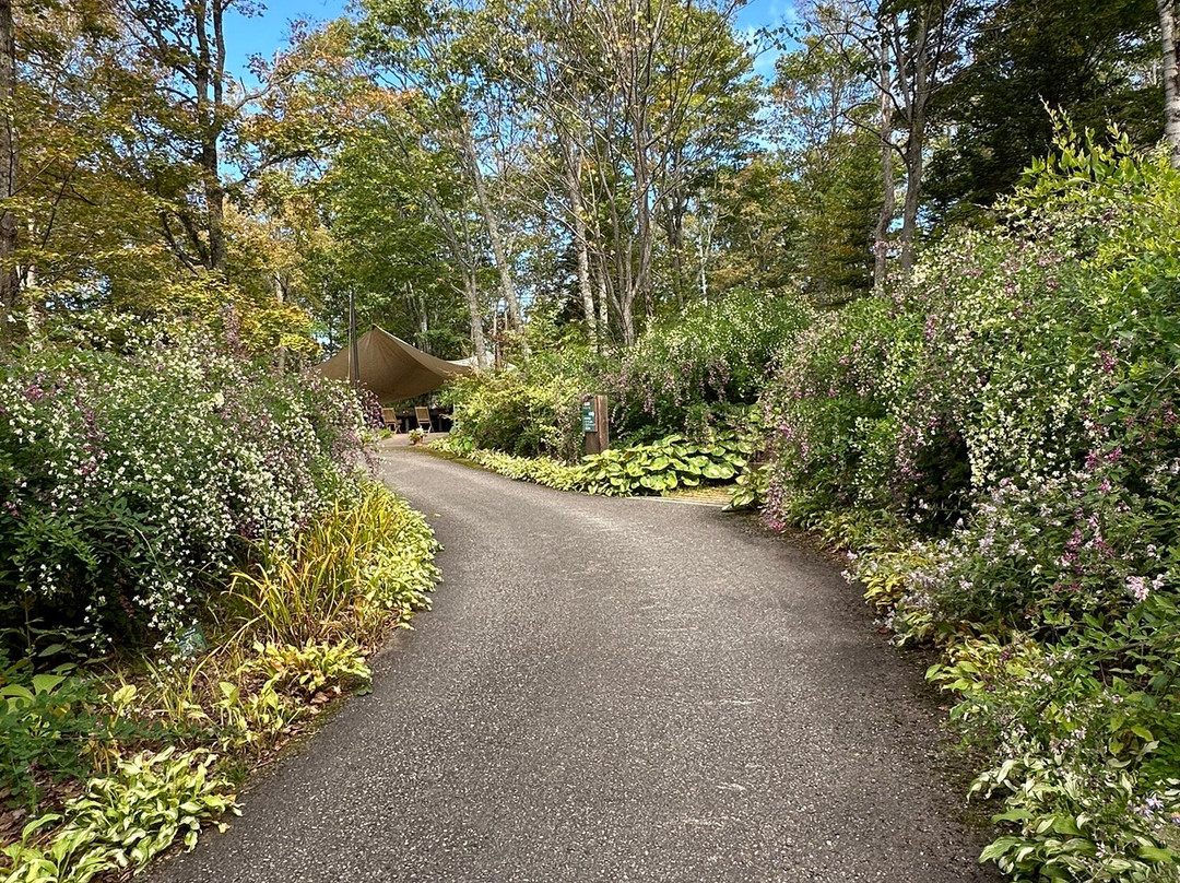 Oyuki Morino Garden-上川町必去景点