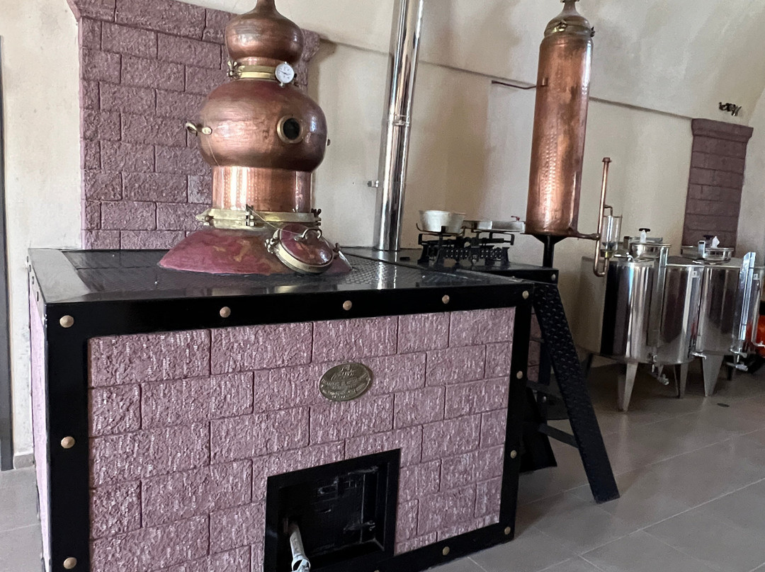 Canava Santorini Distillery景点图片