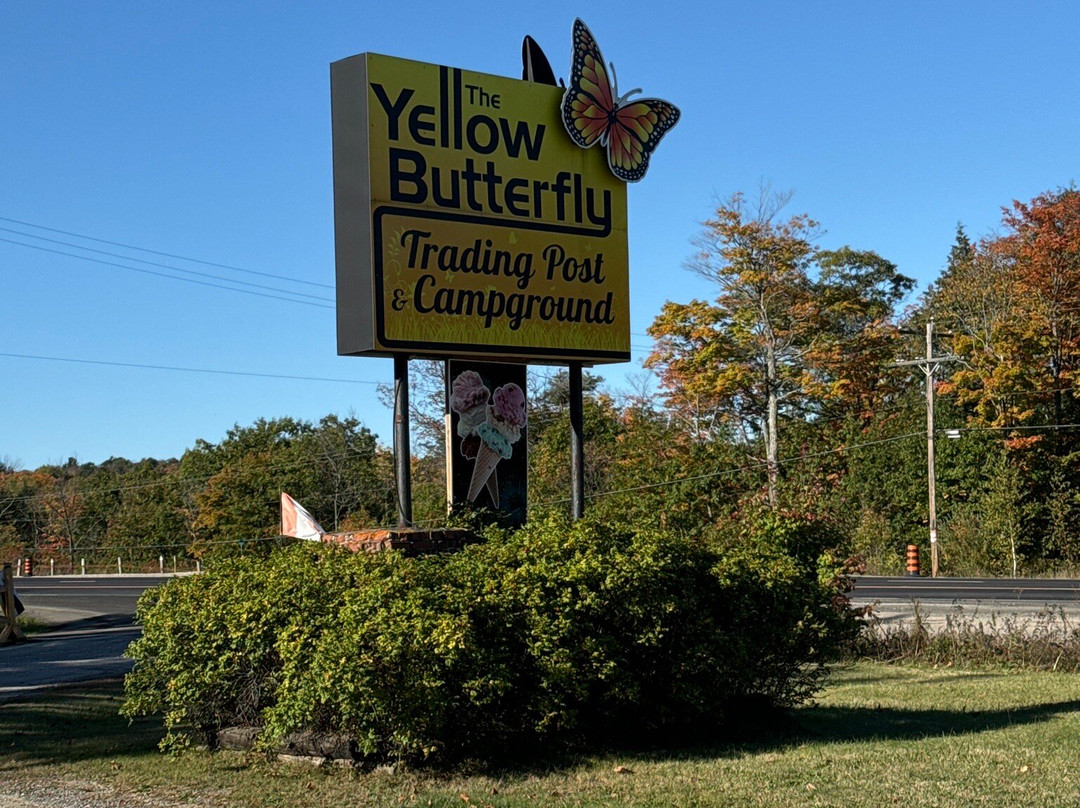 Yellow Butterfly Trading Post景点图片