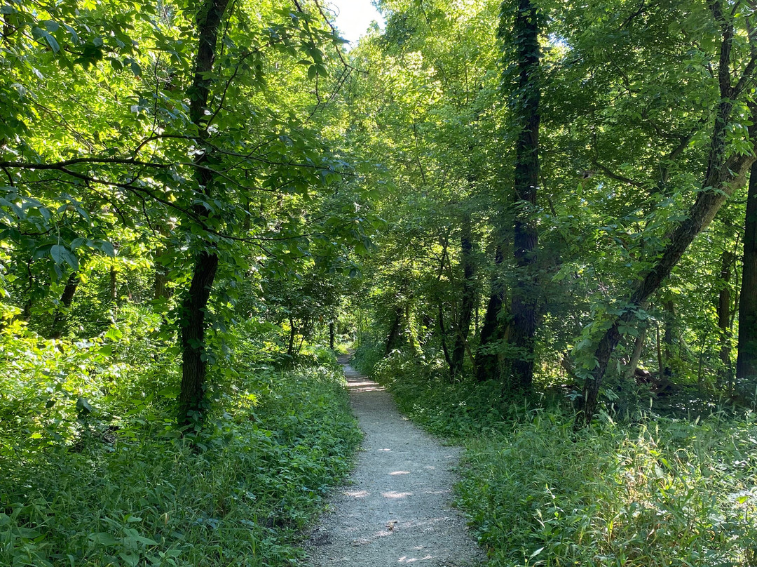 Wegerzyn Gardens MetroPark-代顿必去景点