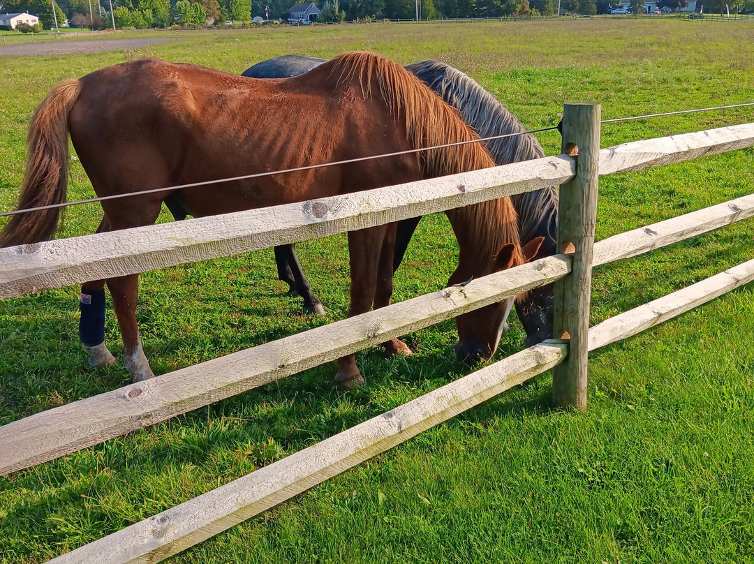 Yale Manor B&B And Yurts主图