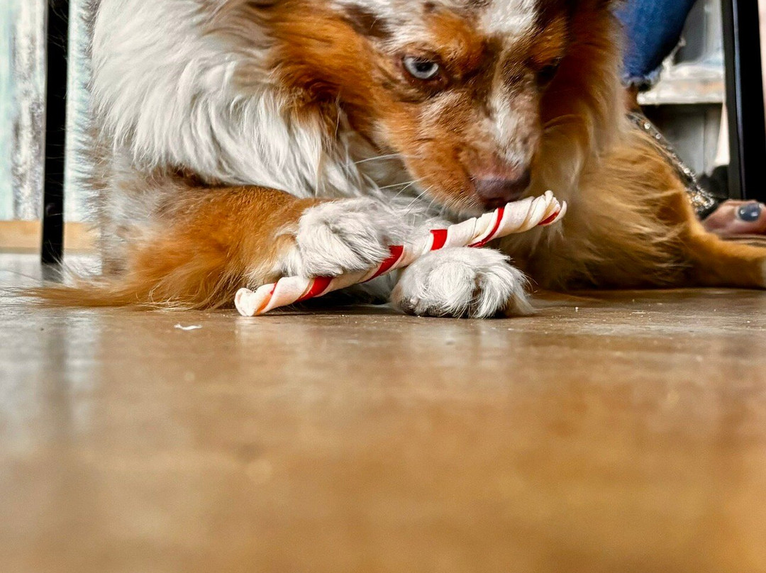 Silver Dollar Winery Hill Country-Johnson City必去景点