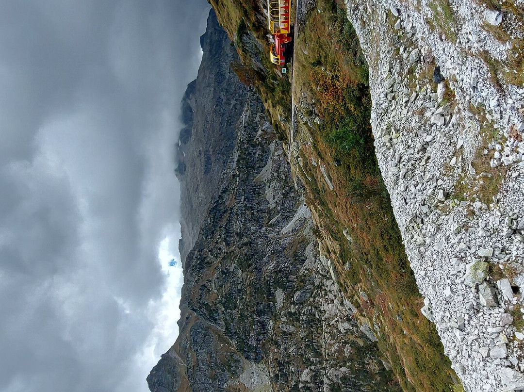 Train d'Artouste景点图片