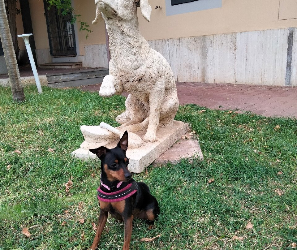 Lampo il cane ferroviere景点图片