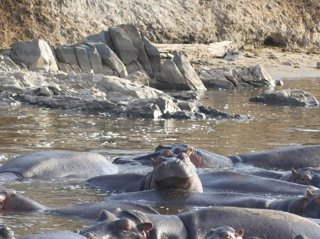 Naturalland Expeditions-阿鲁沙必去景点