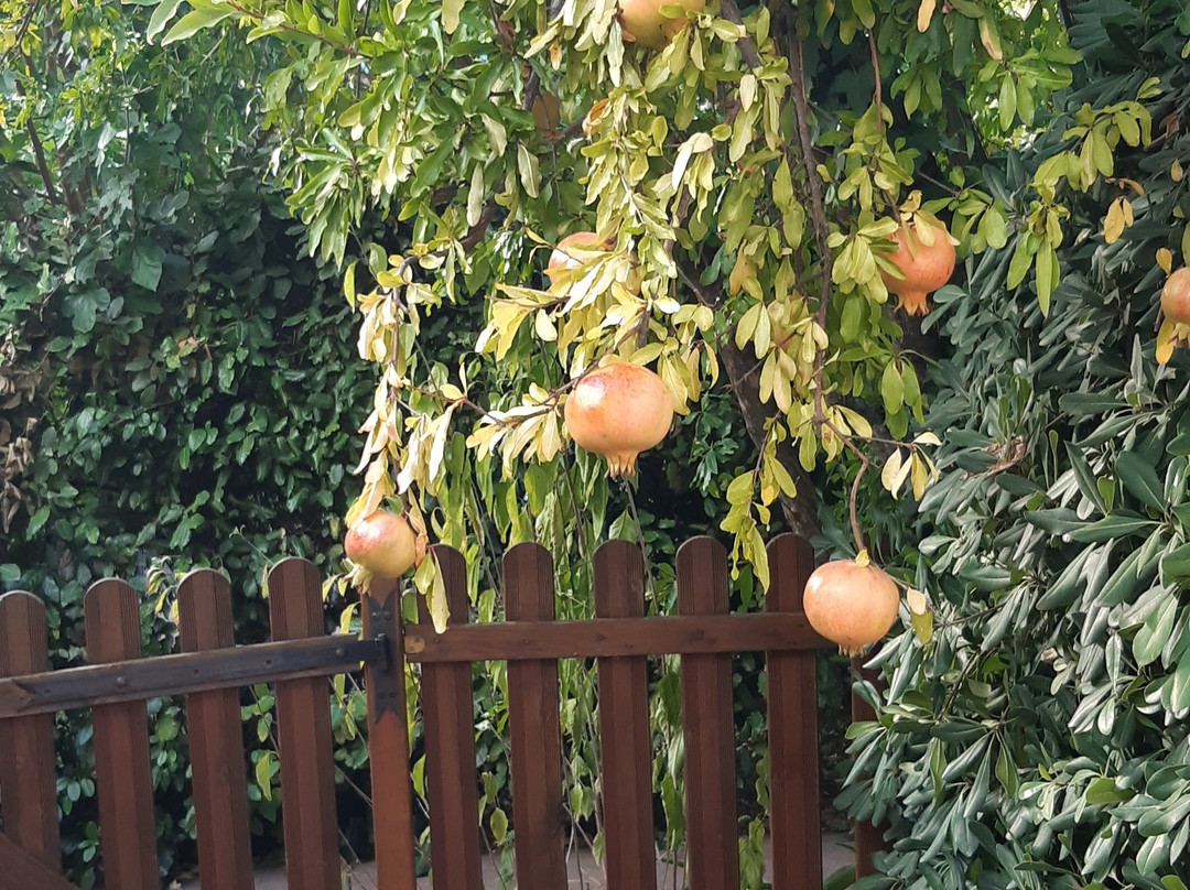 Les Gites de La Pinede