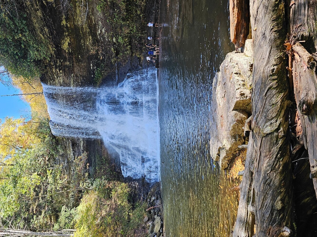 Cascade Falls景点图片