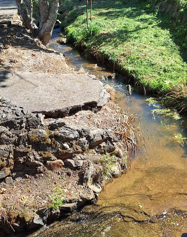 Reedy Creek Park景点图片