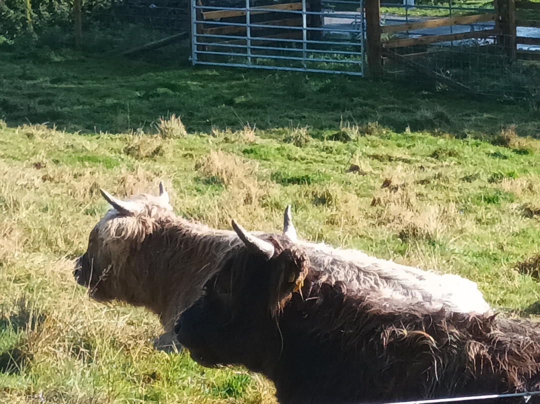 Highland Folk Museum景点图片