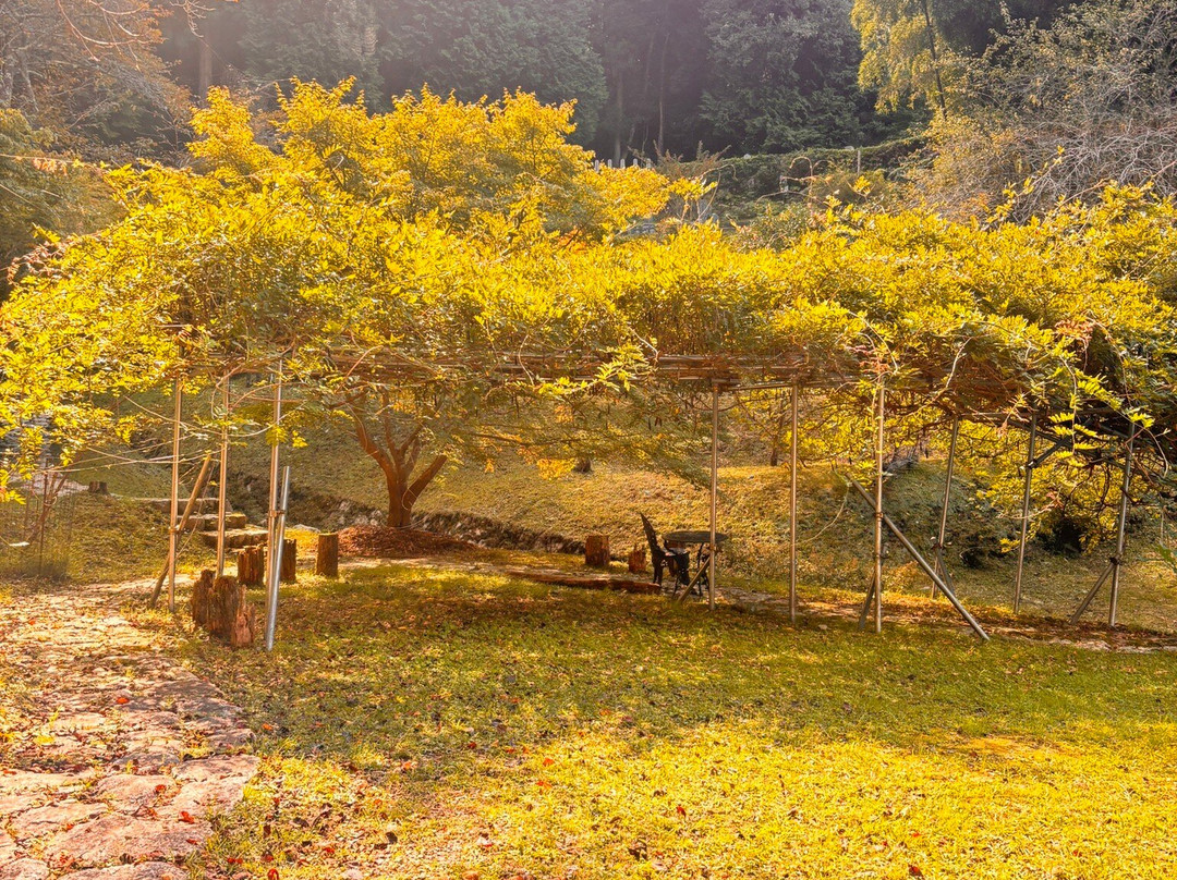 Henjoin Temple-宇治田原町必去景点