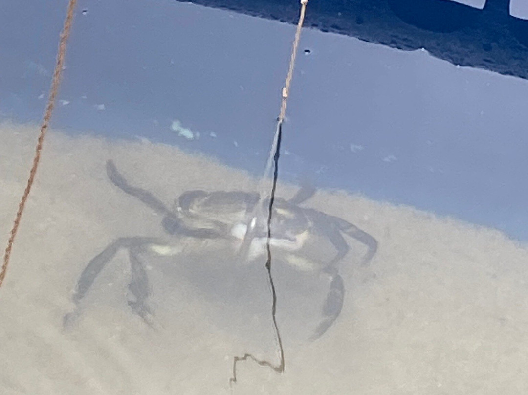 Føroya Sjósavn-Argir必去景点