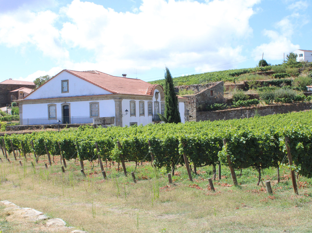 Morgadio da Calcada主图