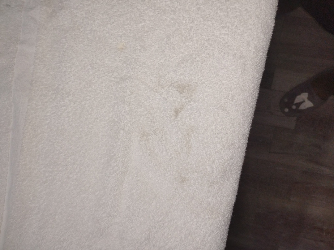 Rodeway Inn Port Richey North主图