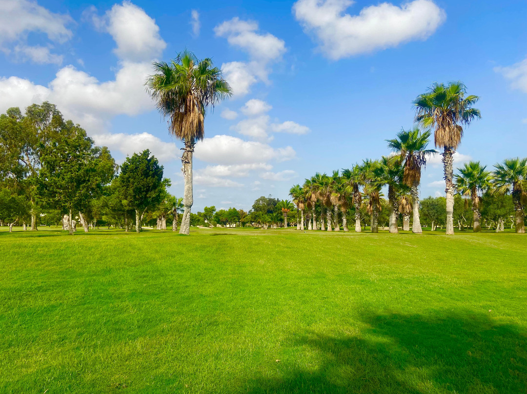 Royal Malta Golf Club景点图片