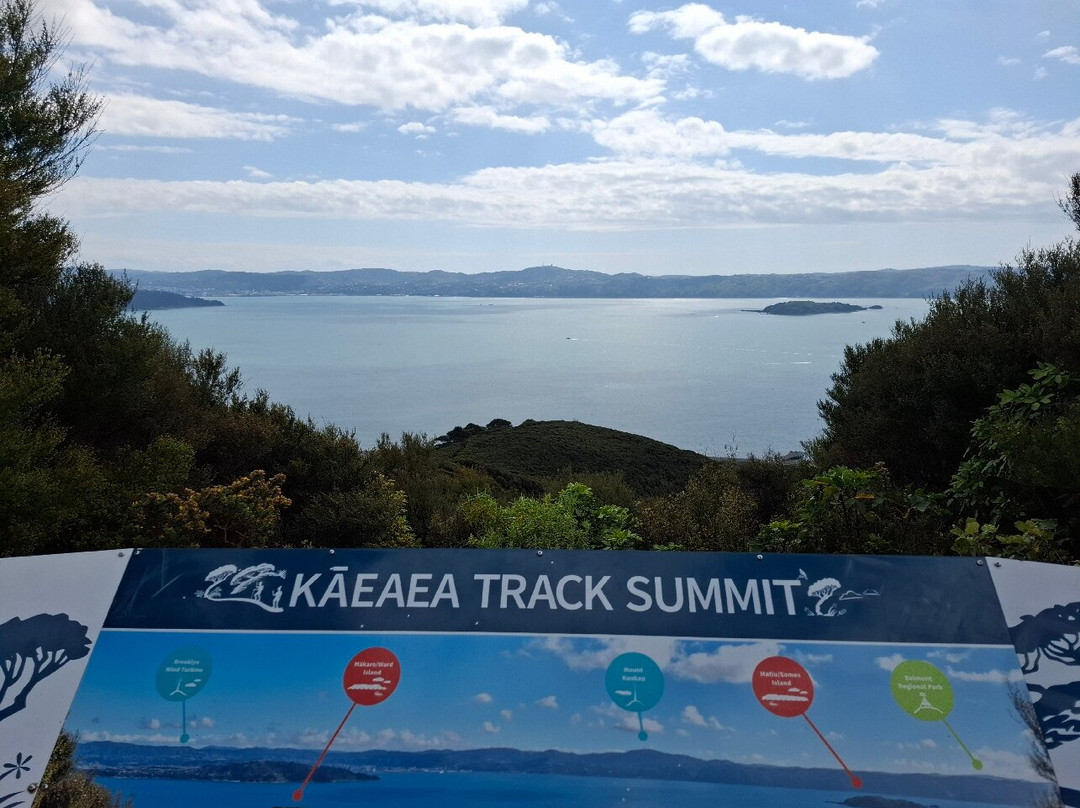 Butterfly Creek-惠灵顿必去景点