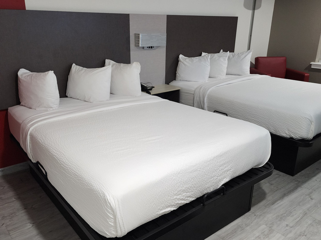 Ramada by Wyndham Tuscaloosa主图