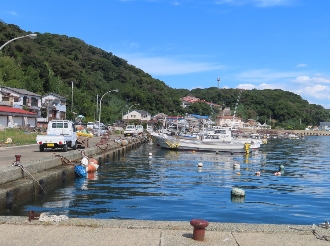 Ainoshima Island景点图片