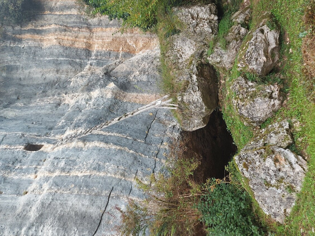 Les Abris préhistoriques de Laugerie Basse