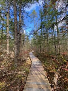 Saco Heath Preserve-萨考必去景点