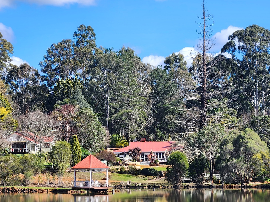 森林山林小屋度假酒店主图