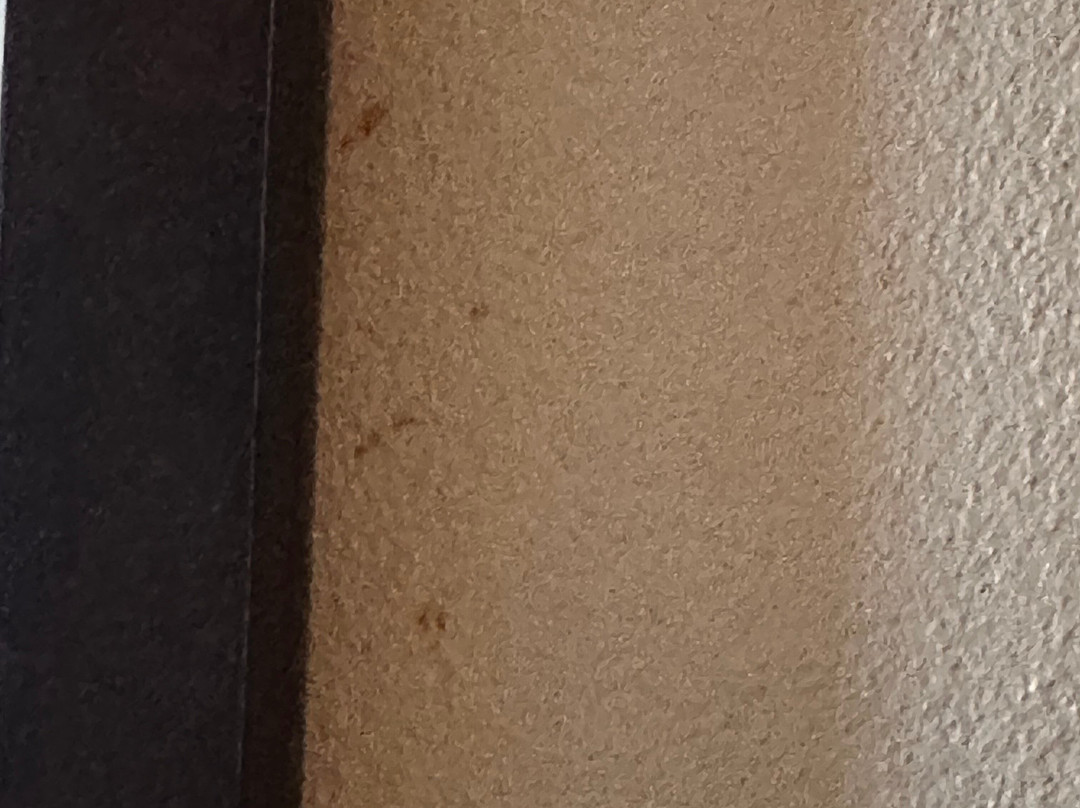 Best Western I-5 Inn & Suites主图