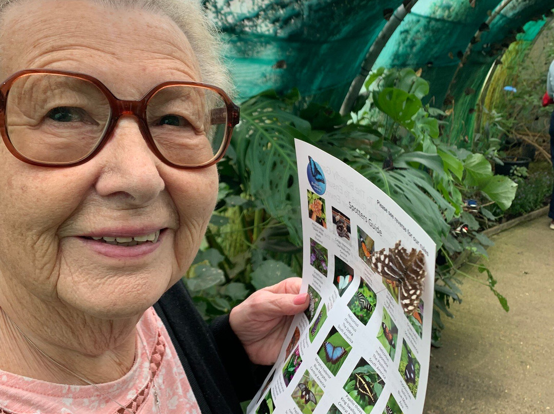 Butterfly Gardens @ Middleton Common Farm-Westmeston必去景点
