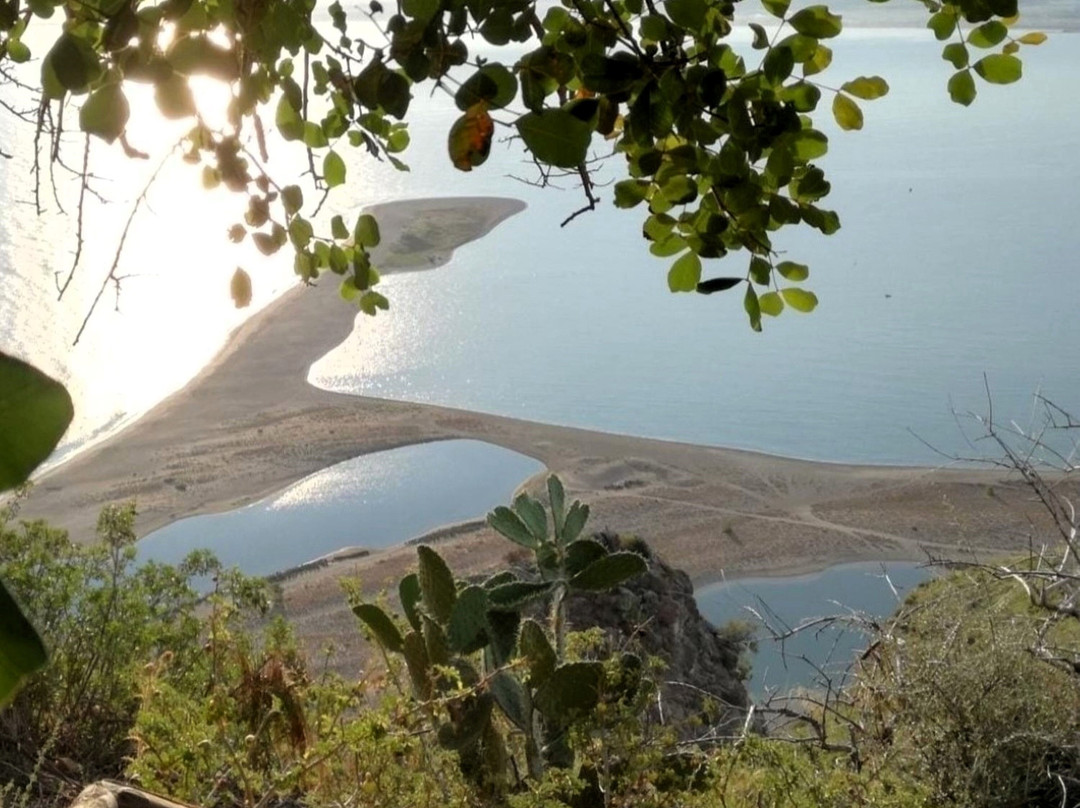 Riserva Naturale Orientata Laghetti di Marinello景点图片