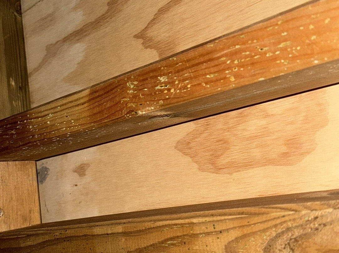 Laghi Nabi - Oasi Naturale主图