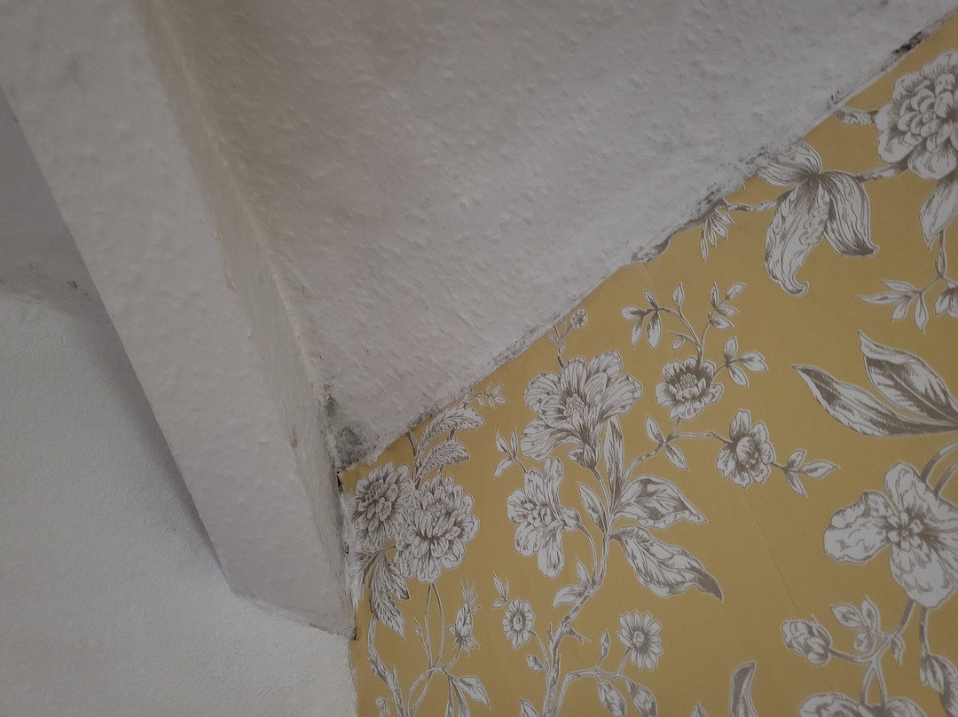 Holland Arms Hotel主图