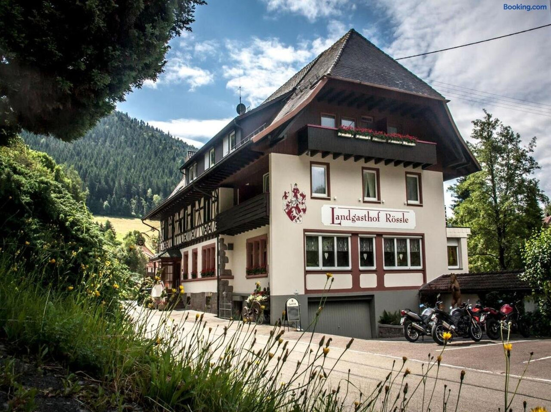 Elzach-Oberprechtal酒店住宿-Landgasthof Rössle