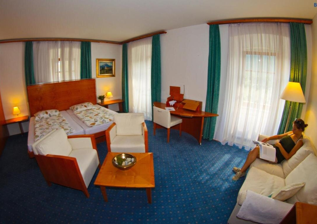 Bostanj酒店住宿-Bed & Breakfast Savinja