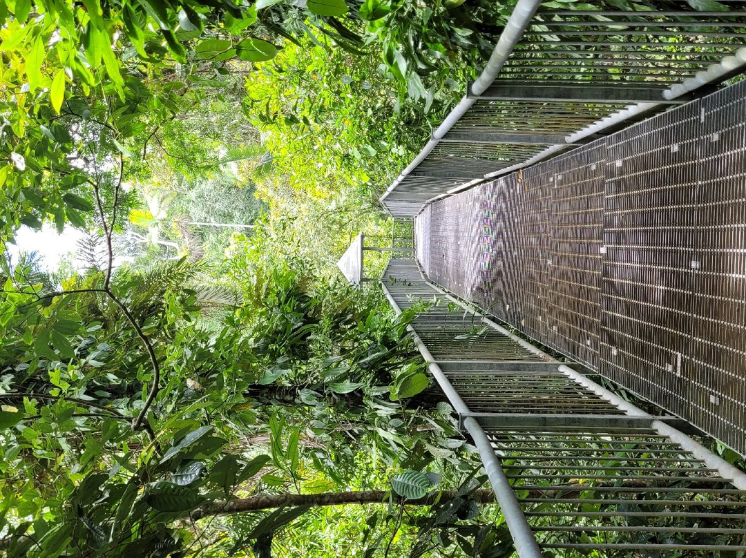 Daintree Discovery Centre-Cow Bay必去景点