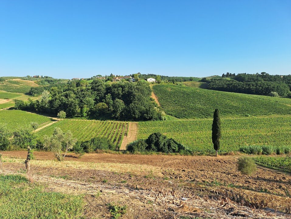 Musignano Agriturismo主图