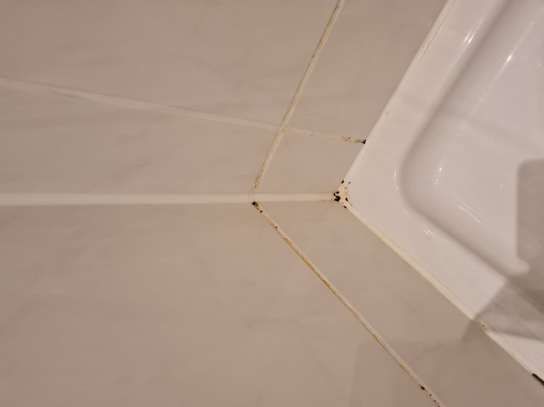 Arthotel ANA Gold主图