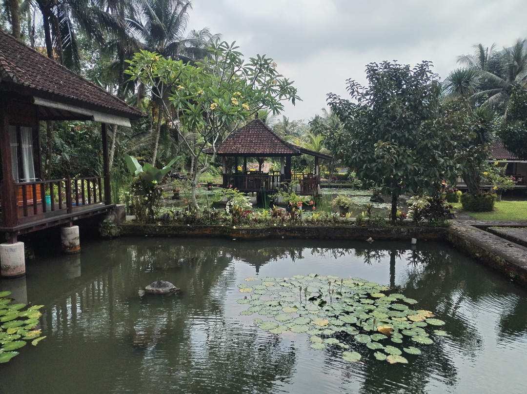 Pondok Uma Ayu Sidemen主图