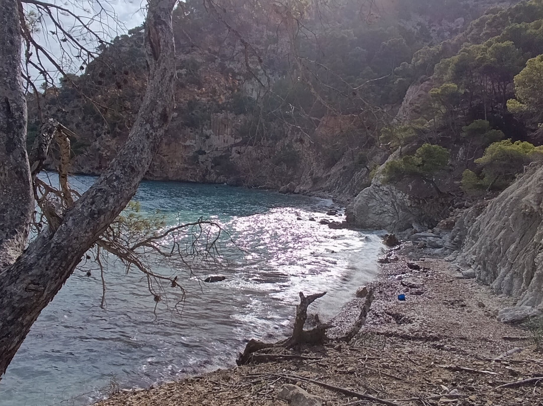 Camp de Mar Beach景点图片