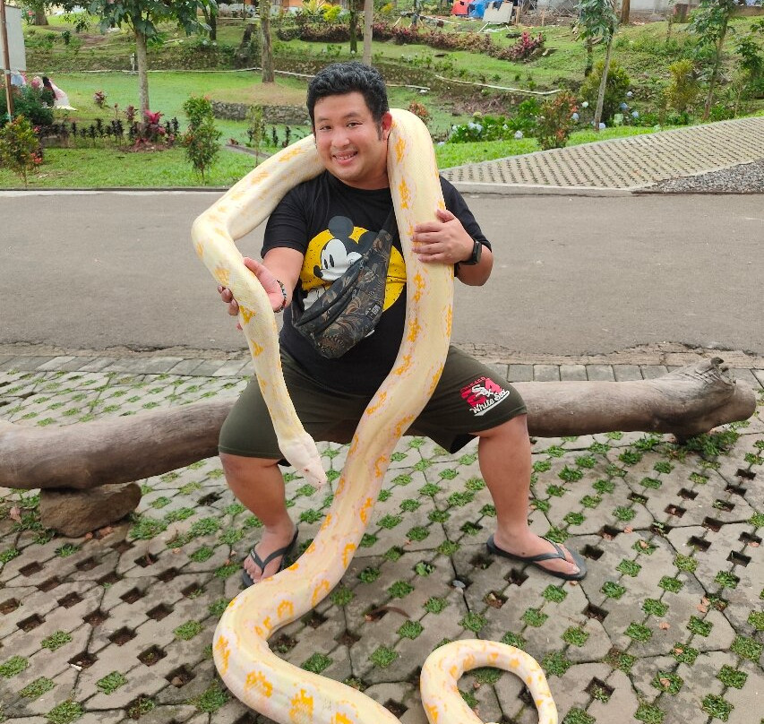 Agrowisata GUNUNG MAS Kebun Teh Walini-本哲必去景点